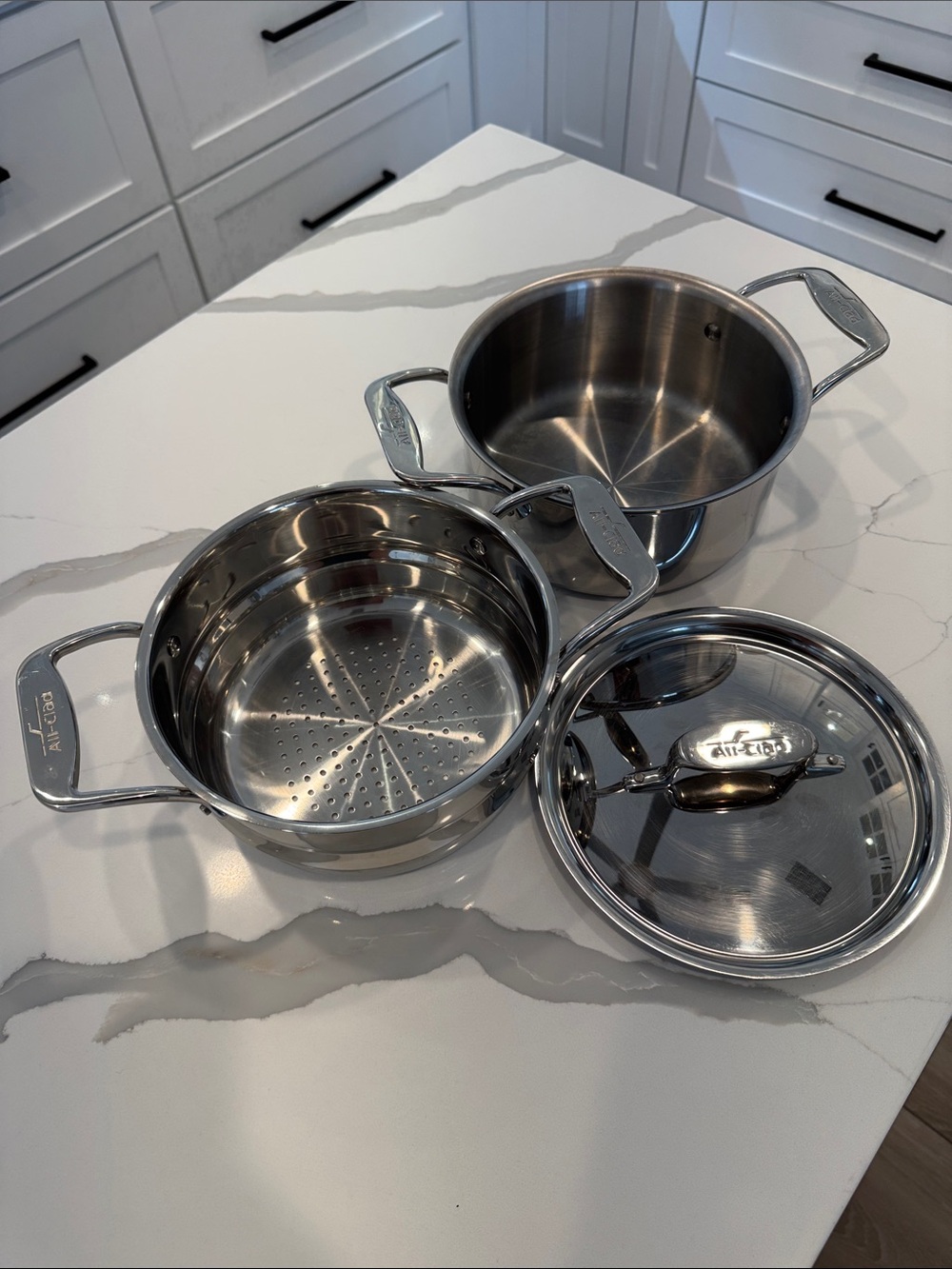 All-Clad Stainless Steel 3 Qt. Multi Pot, Steamer Insert Covered Saucepan